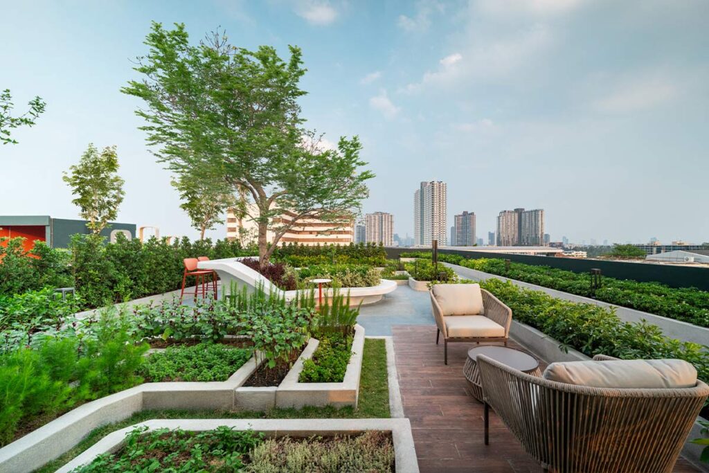 ROOFTOP GARDEN