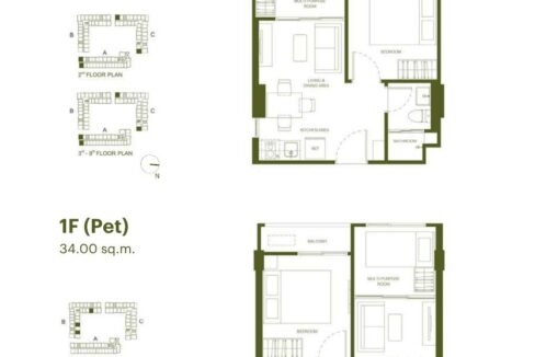 Layout-6