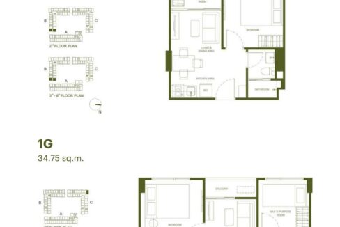 Layout-8