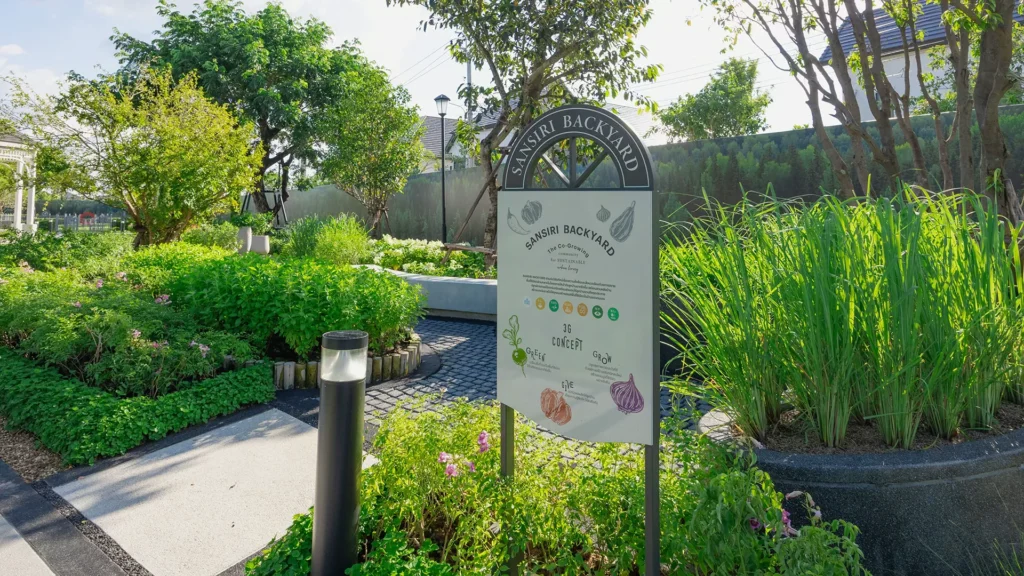 SANSIRI BACKYARD