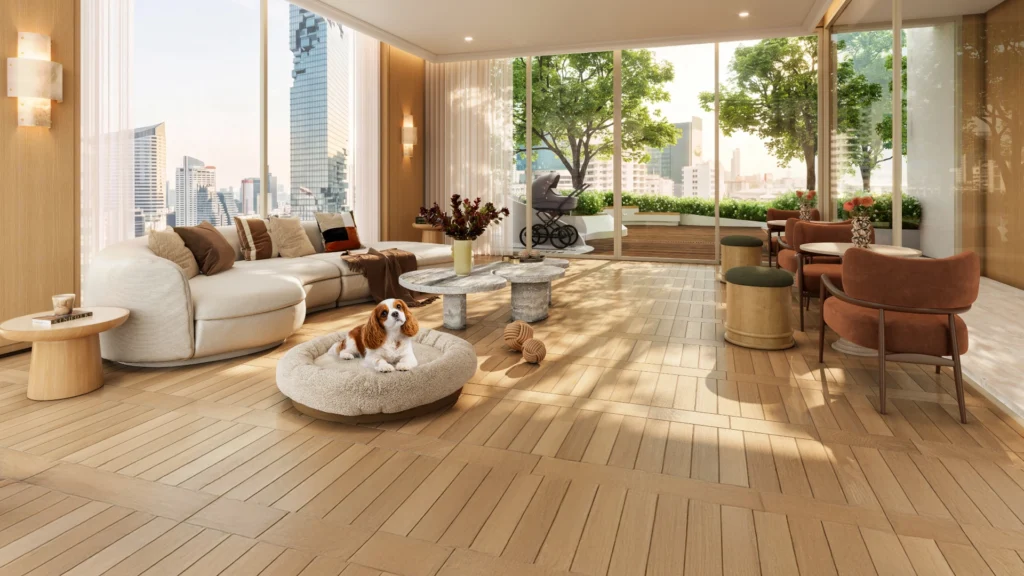 PET SKY LOUNGE