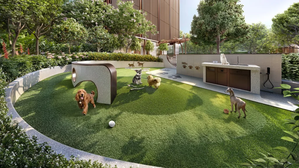 PET PLAYGROUND