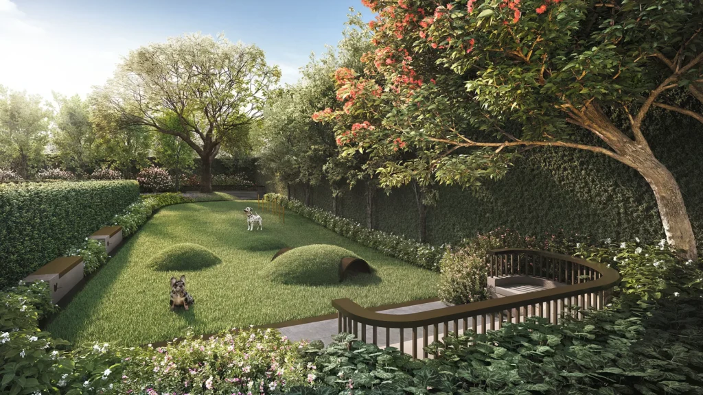 THE PAW PARK