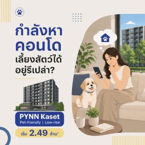 Pynn Kaset album warm 2-2-07